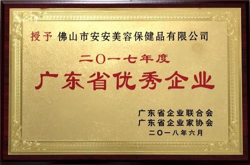 2017廣東省優秀企業